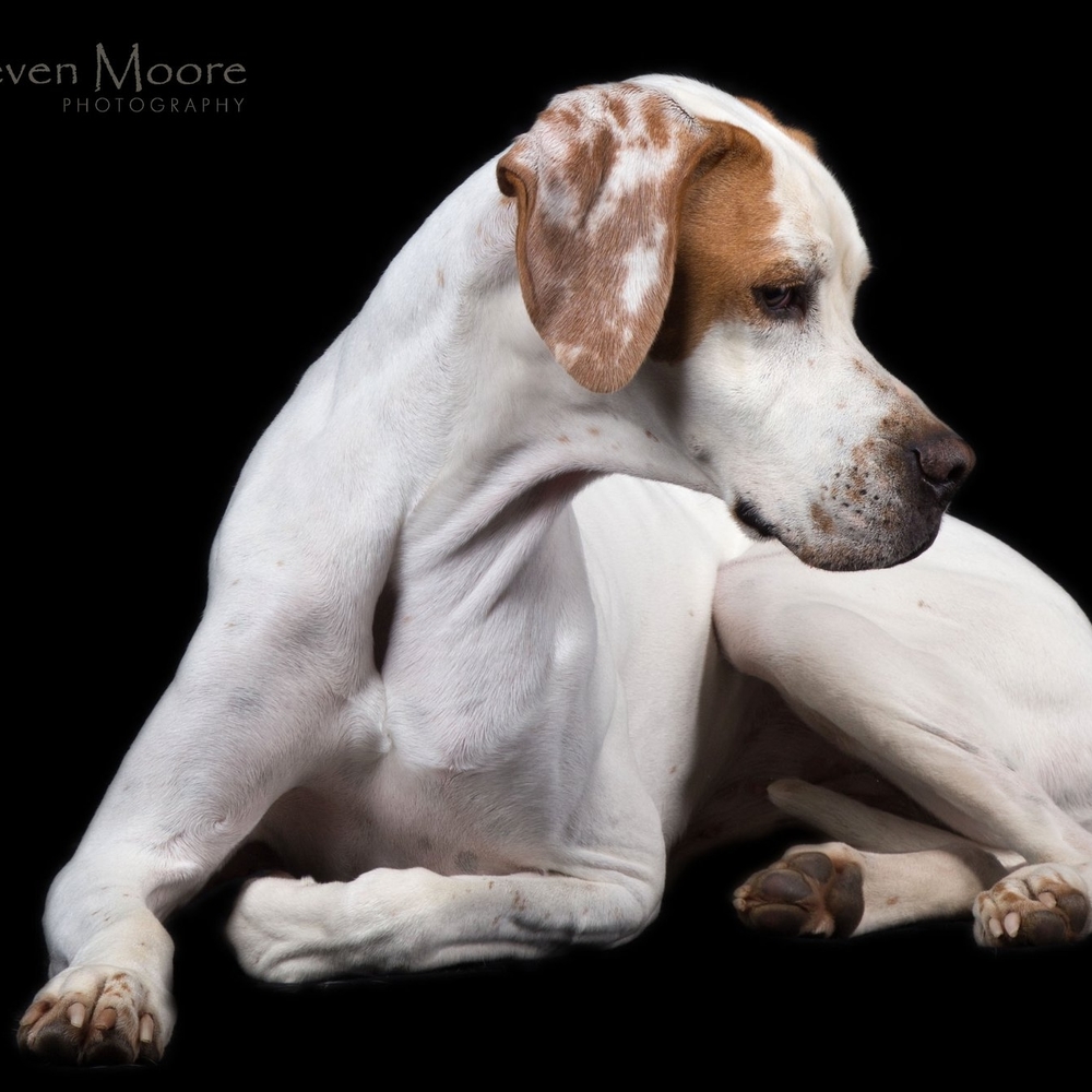 Meet your Posher, Idalia